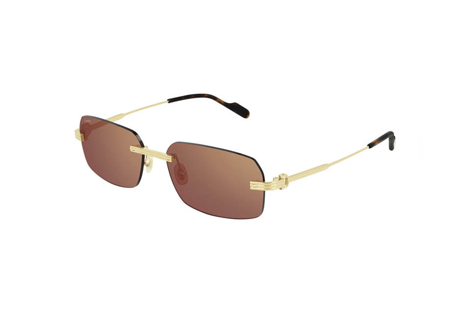Cartier CT0271S 004 (58)