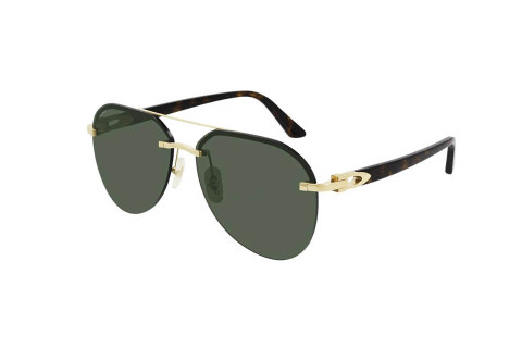 Cartier CT0275SA 002 (58)