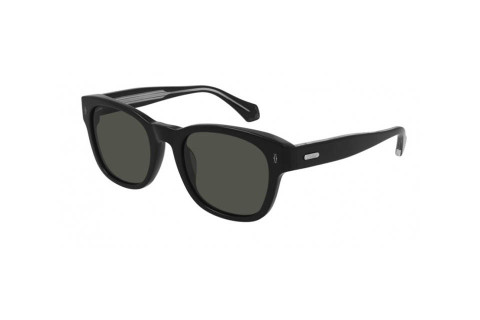 Cartier CT0278SA 001 (52)
