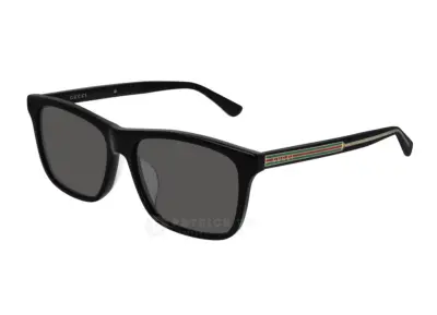 Kính mát Gucci GG0381SA 001 56
