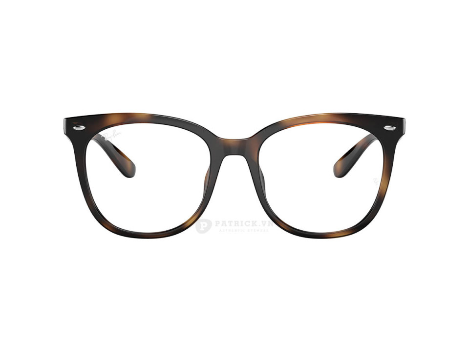 Ray-Ban RX4379VD-2012(53)
