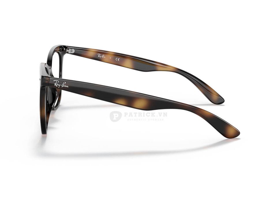 Ray-Ban RX4379VD-2012(53)