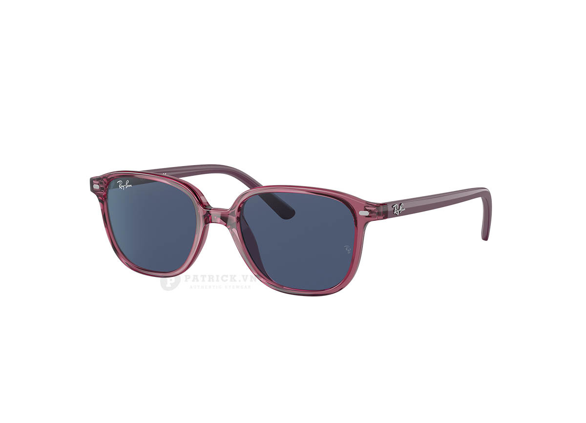 Ray-Ban Leonard Kids RJ9093S-7112/80(45)