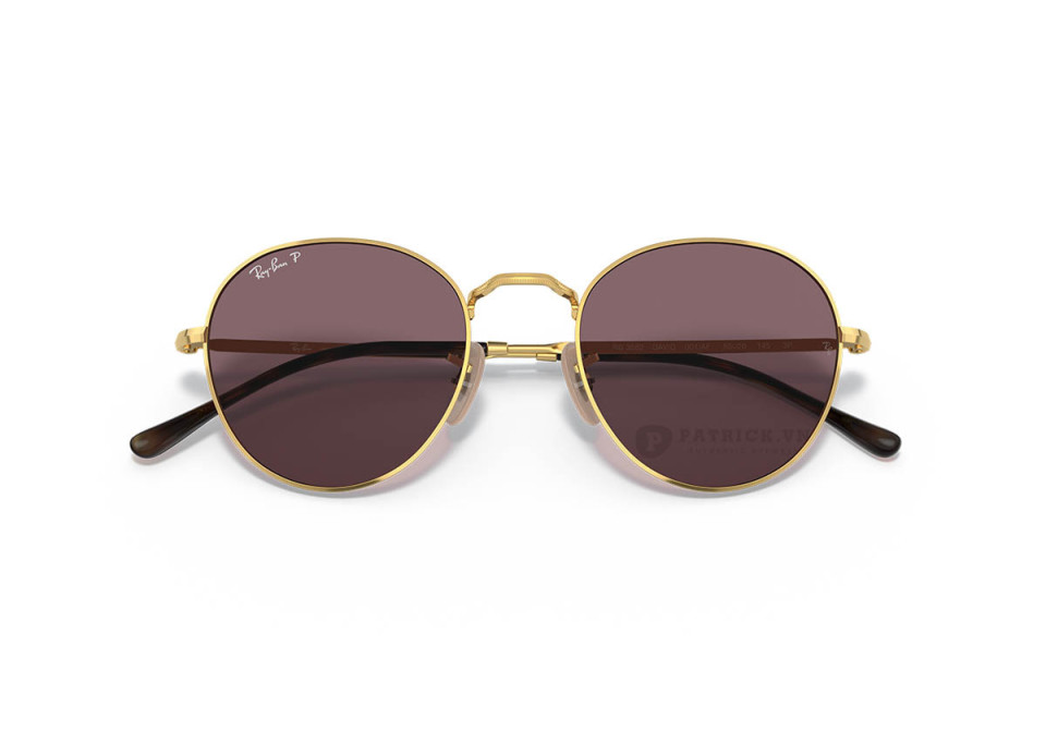 Ray-Ban David RB3582-001/AF(51) Polarized