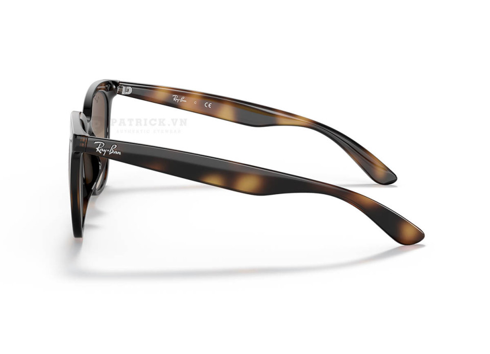 Ray-Ban RB4379D-710/13(55)