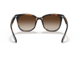 Ray-Ban RB4379D-710/13(55)