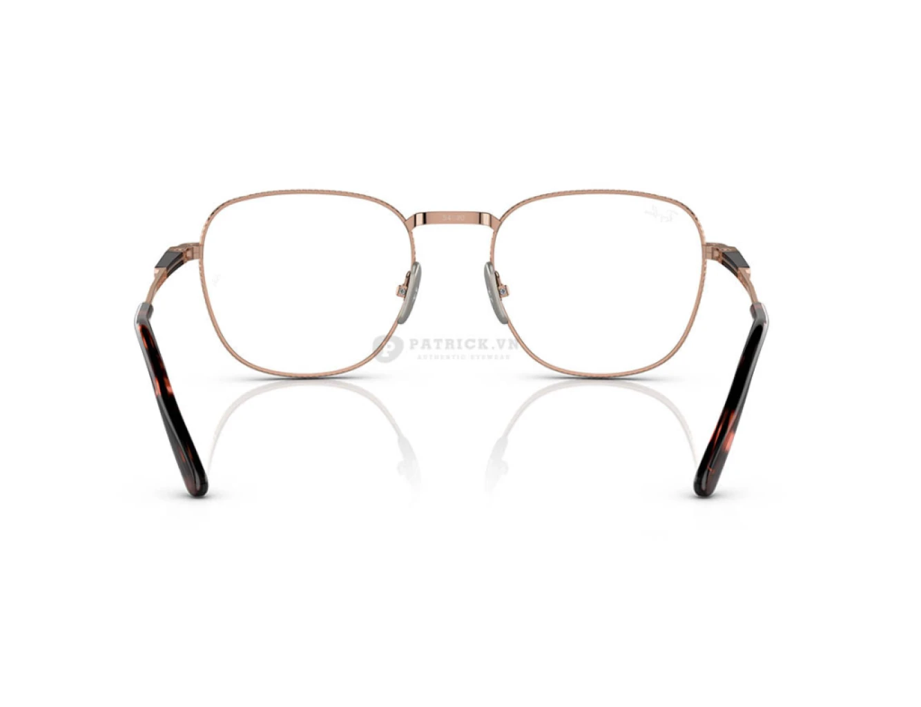 Ray-Ban Frank II Titanium RX8258V-1236(51)