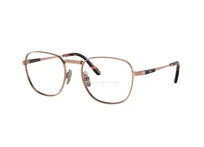 RayBan Frank II Titanium RX8258V-1236(51)