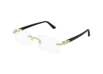 Cartier CT0287O 005 (54)