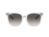 Ray-Ban RB4379D-6598/11(55)