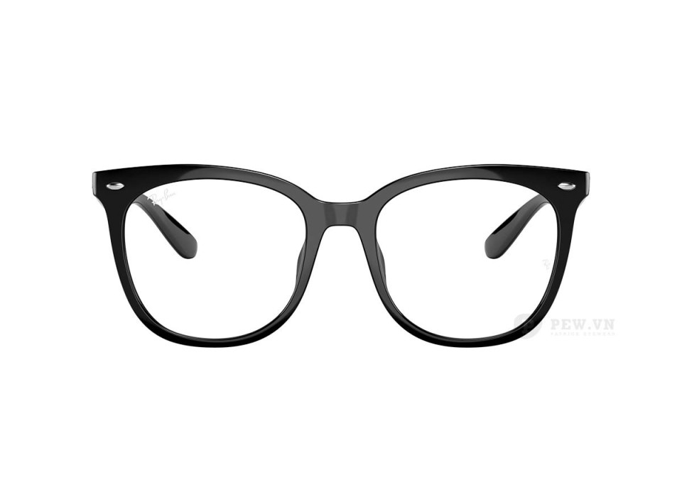 Ray-Ban RX4379VD-2000(53)