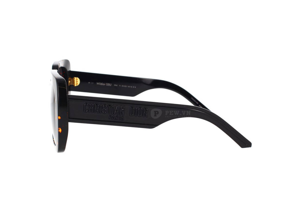 Dior Wildior S3U 29A0 (55)