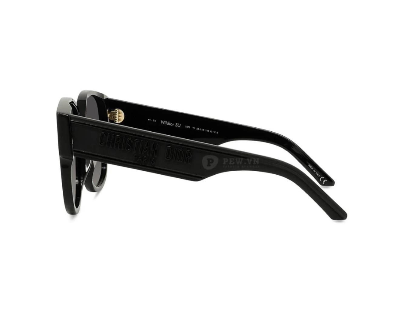 Dior Wildior SU 10P3 (58)