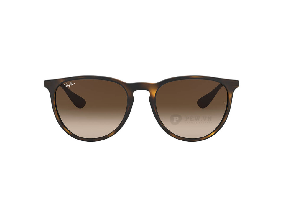 Ray-Ban Erika RB4171F-865/13(54)