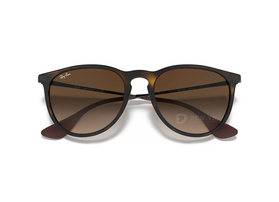 Ray-Ban Erika RB4171F-865/13(54)