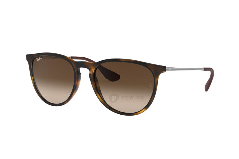 Ray-Ban Erika RB4171F-865/13(54)