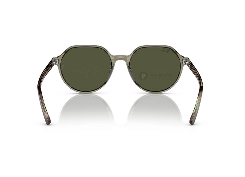 Ray-Ban Thalia RB2195F-6635/5C(53)
