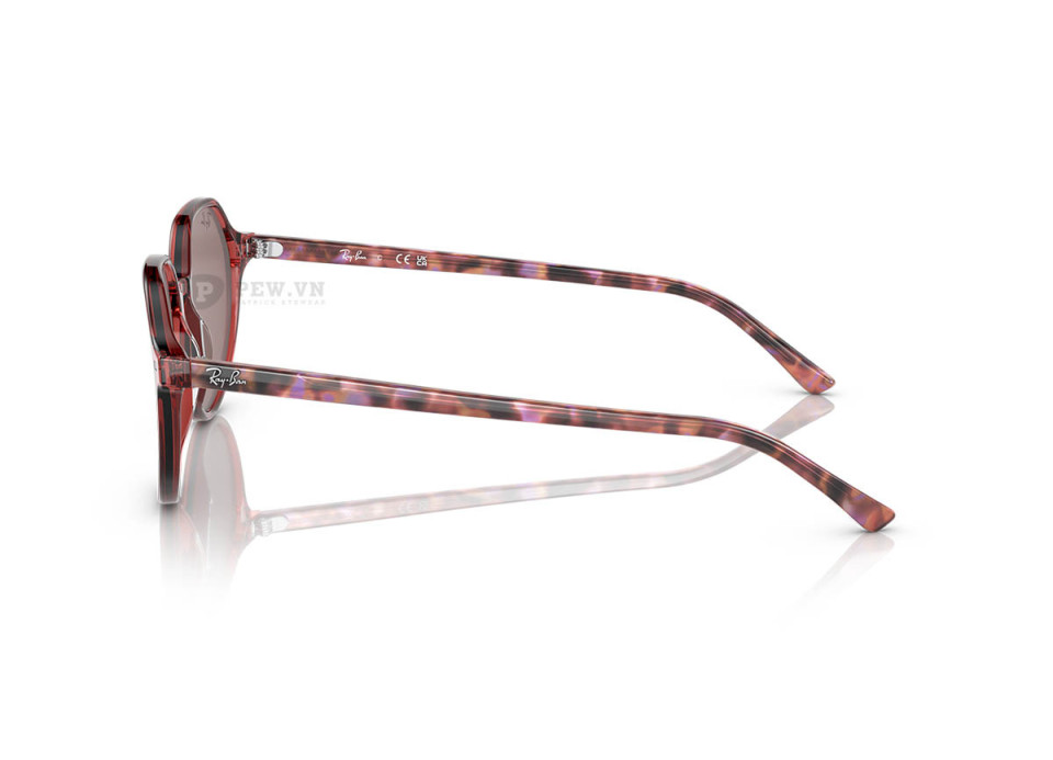 Ray-Ban Thalia RB2195F-6637/2K(53)