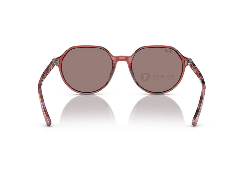 Ray-Ban Thalia RB2195F-6637/2K(53)