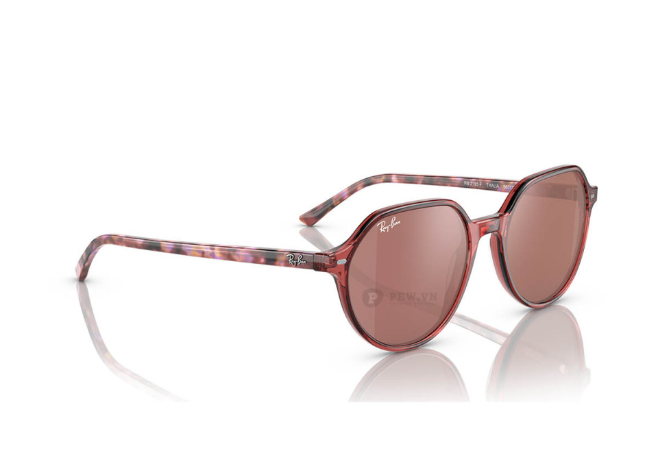 Ray-Ban Thalia RB2195F-6637/2K(53)
