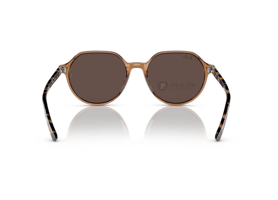 Ray-Ban Thalia RB2195F-6636/93(53)