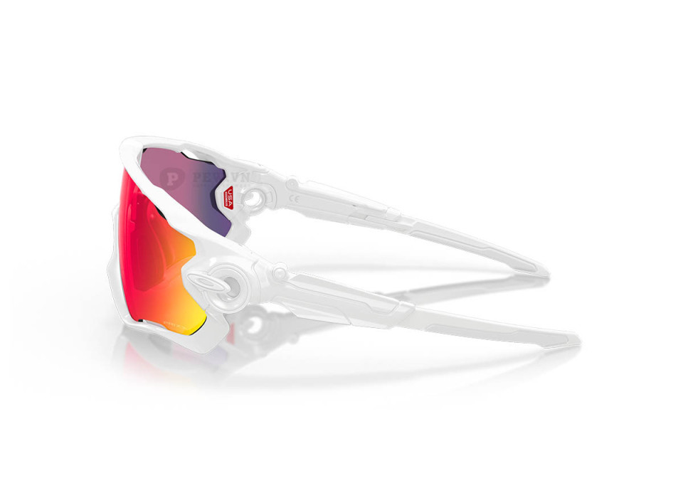 Oakley Jawbreaker OO9290-55(31)