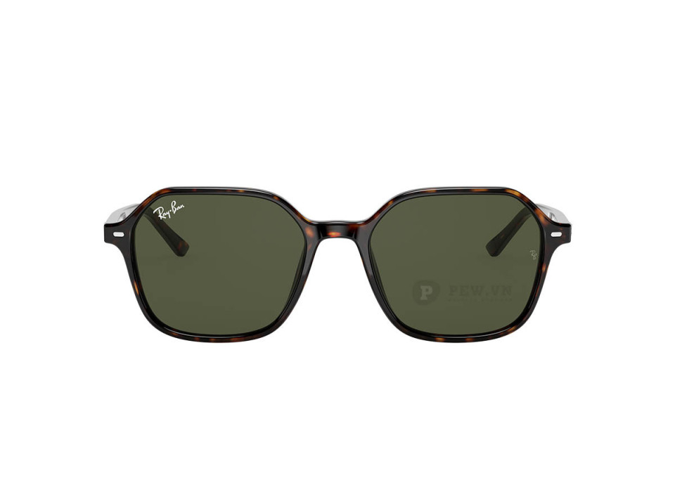 Ray-Ban John RB2194-902/31(53)