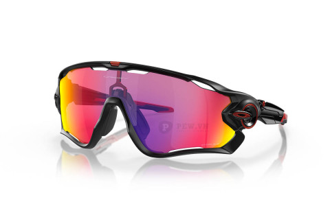 Oakley Jawbreaker OO9290-20(31)