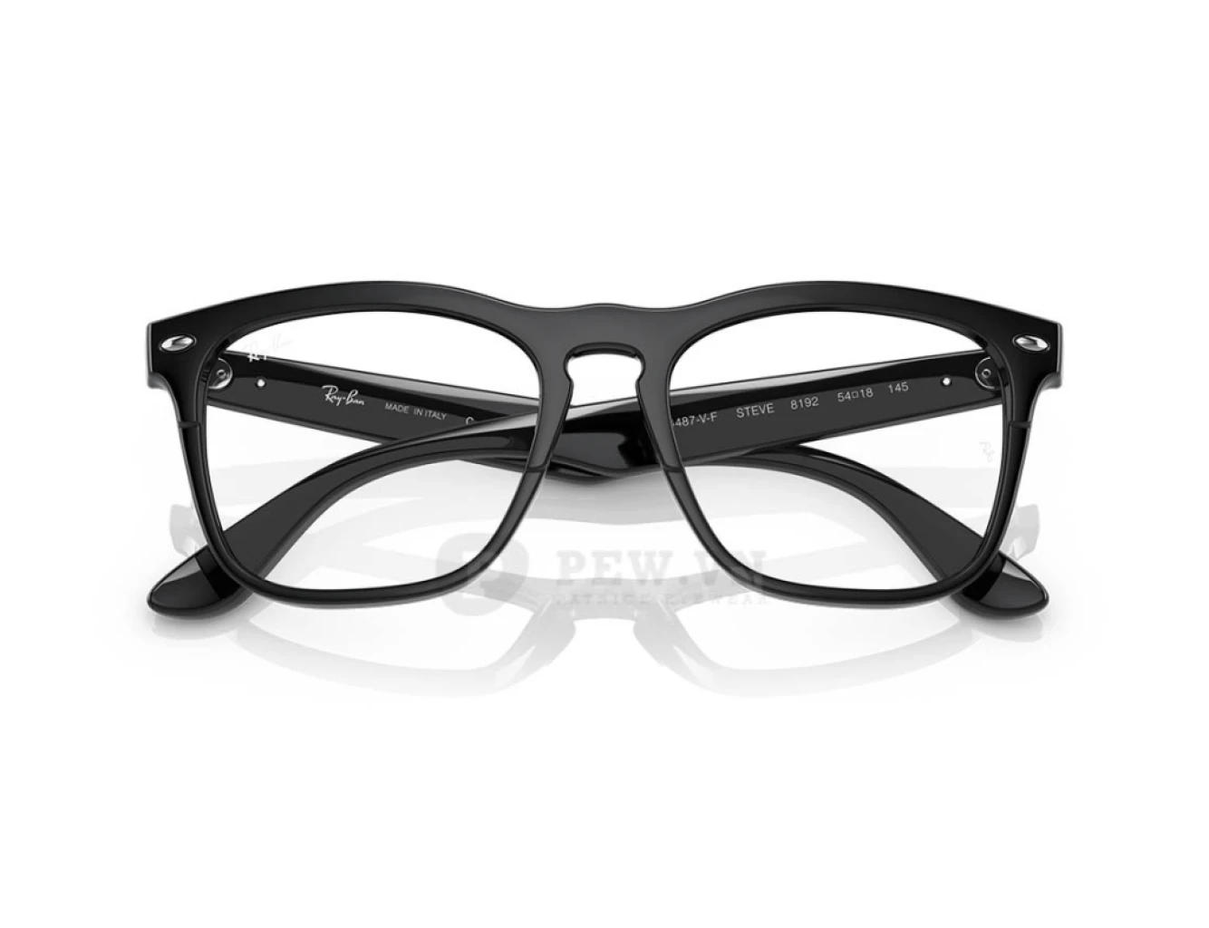 Ray-Ban Steve RX4487VF-8192(54)