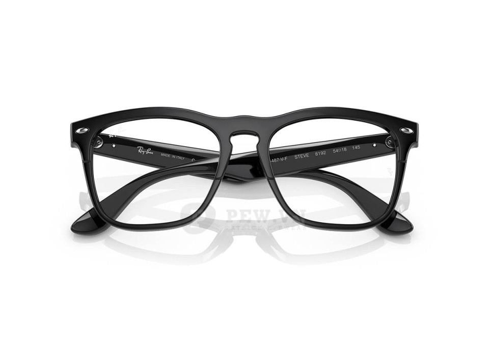 Ray-Ban Steve RX4487VF-8192(54)