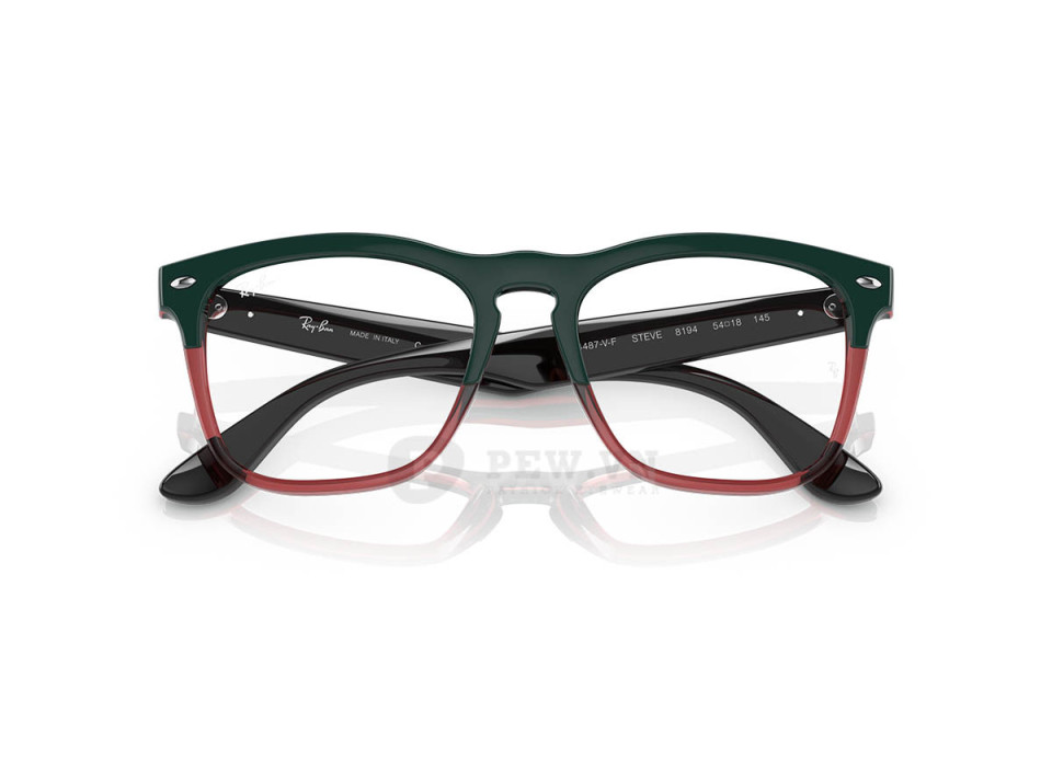 Ray-Ban Steve RX4487VF-8194(54)