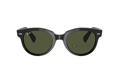 Ray-Ban ORION RB2199F-901/31(52)