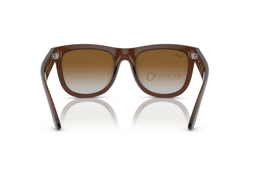 Ray-Ban Wayfarer Reverse RBR0502S-6709/CB(53)