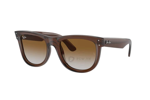Ray-Ban Wayfarer Reverse RBR0502S-6709/CB(53)
