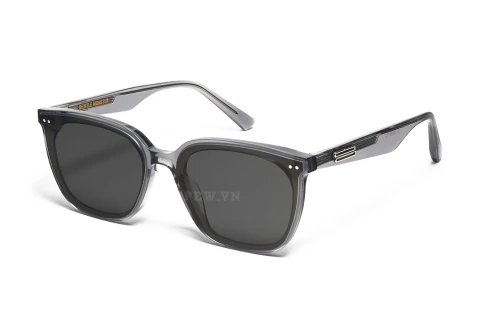 Gentle Monster Heizer G1