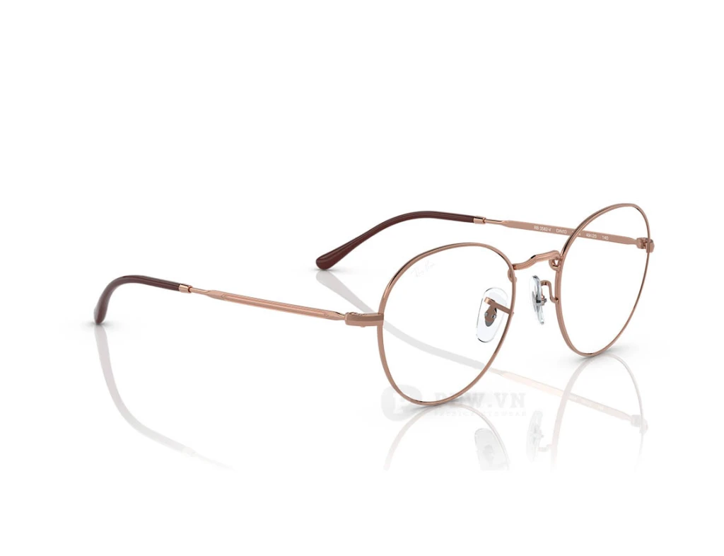 Ray-Ban Round Metal RX3582V-3094(51)
