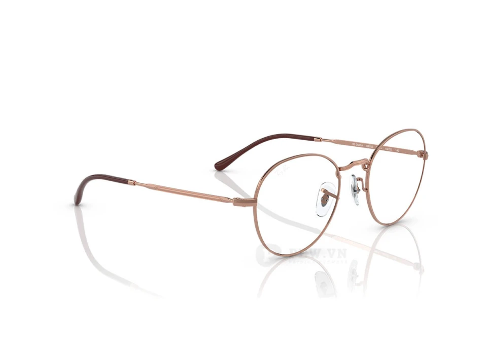 Ray-Ban Round Metal RX3582V-3094(51)