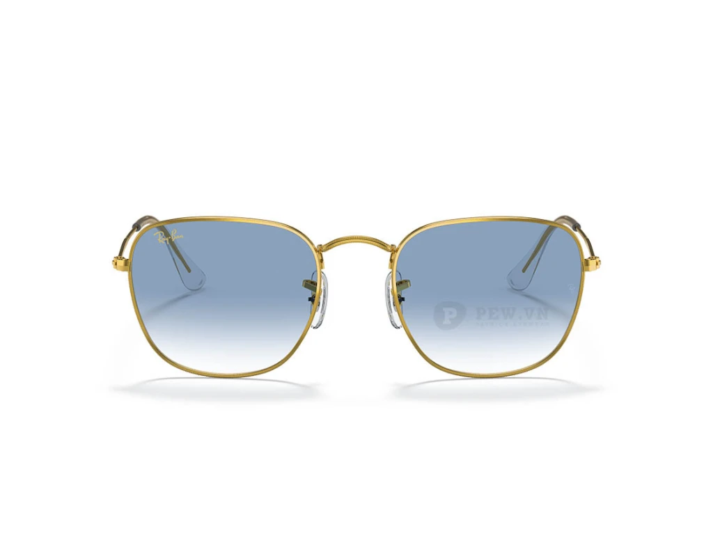 Ray-Ban Frank RB3857-9196/3F(51)