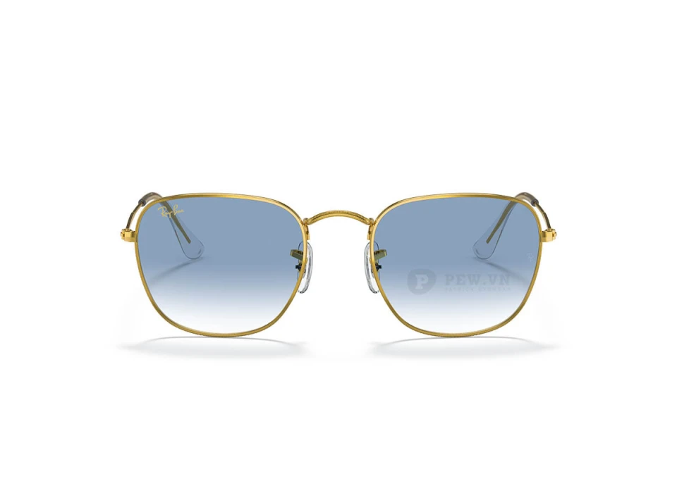 Ray-Ban Frank RB3857-9196/3F(51)