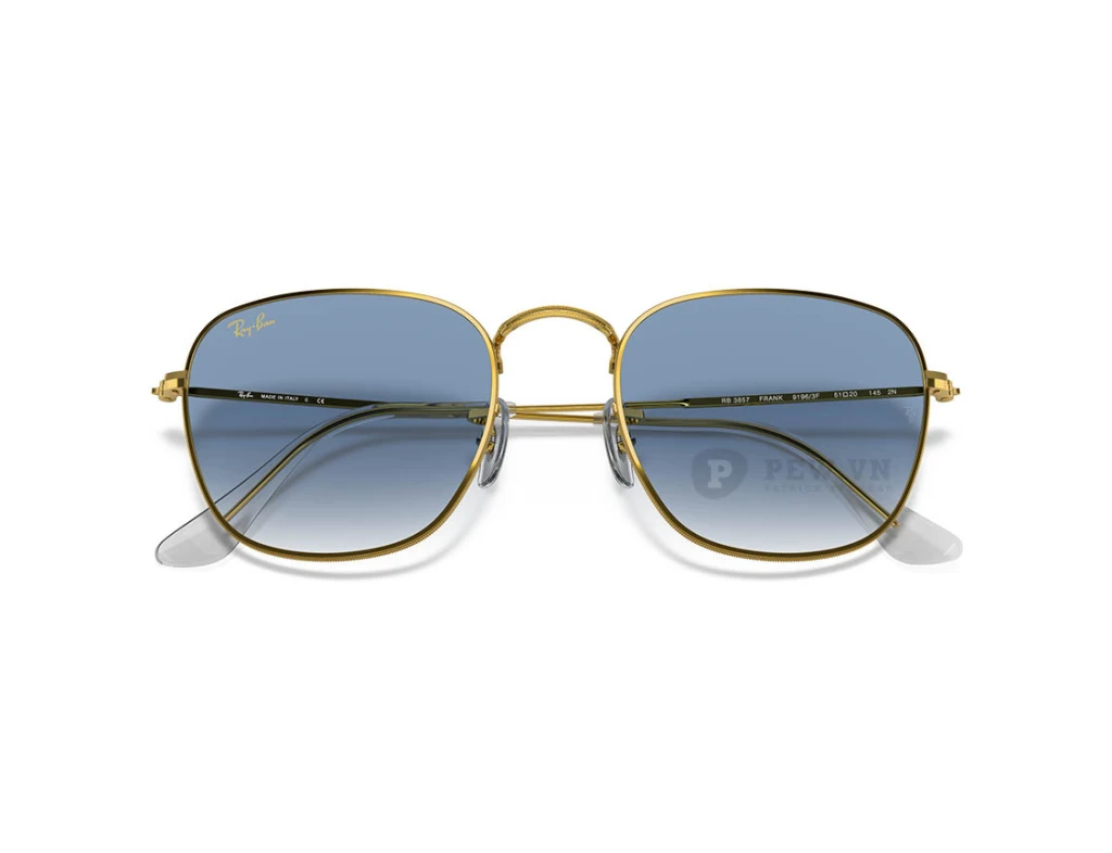 Ray-Ban Frank RB3857-9196/3F(51)