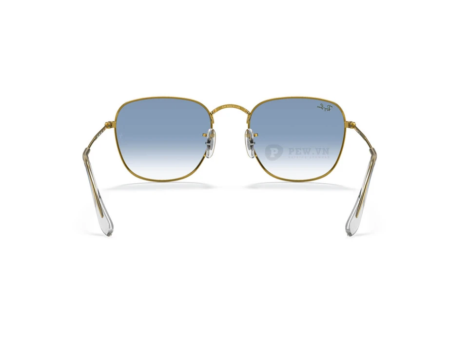 Ray-Ban Frank RB3857-9196/3F(51)