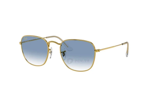 Ray-Ban Frank RB3857-9196/3F(51)