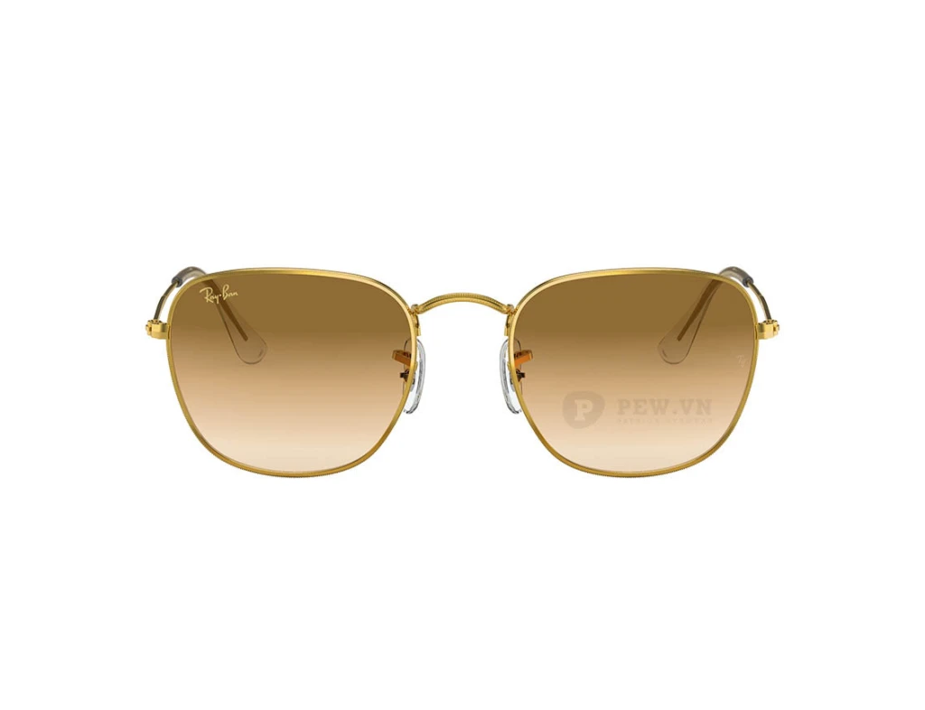 Ray-Ban Frank RB3857-9196/51(51)
