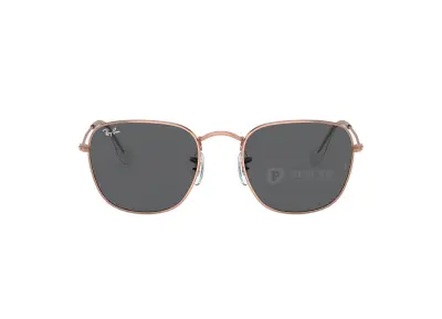 Kính mát Ray-Ban Frank RB3857-9199/31(51)