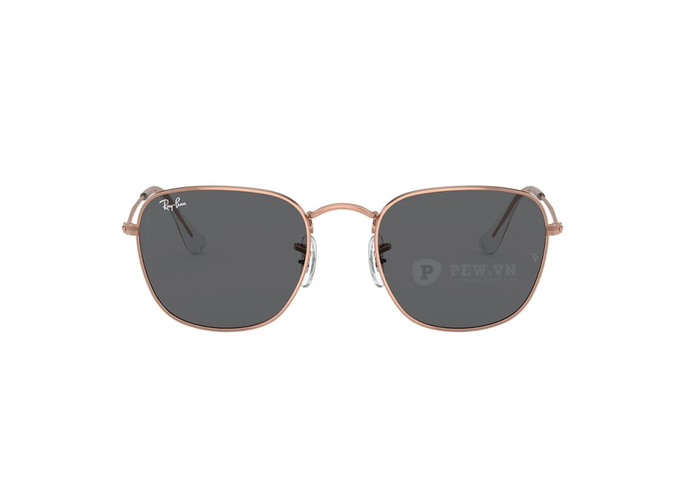 Ray-Ban Frank RB3857-9199/31(51)