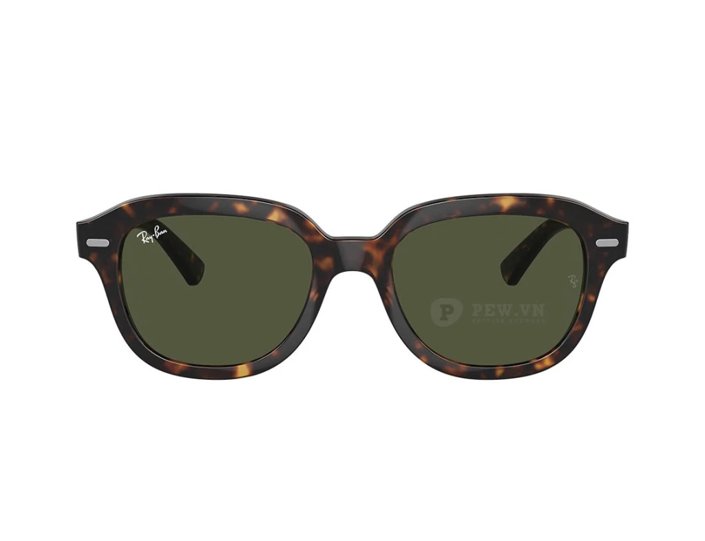 Ray-Ban Erik RB4398F-902/31(53)