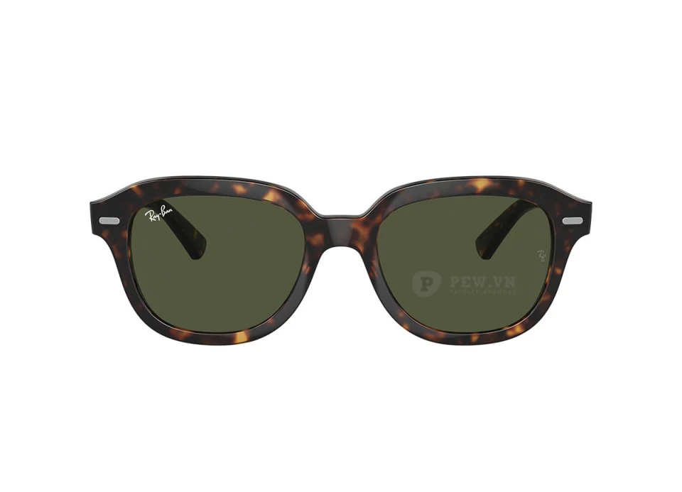Ray-Ban Erik RB4398F-902/31(53)