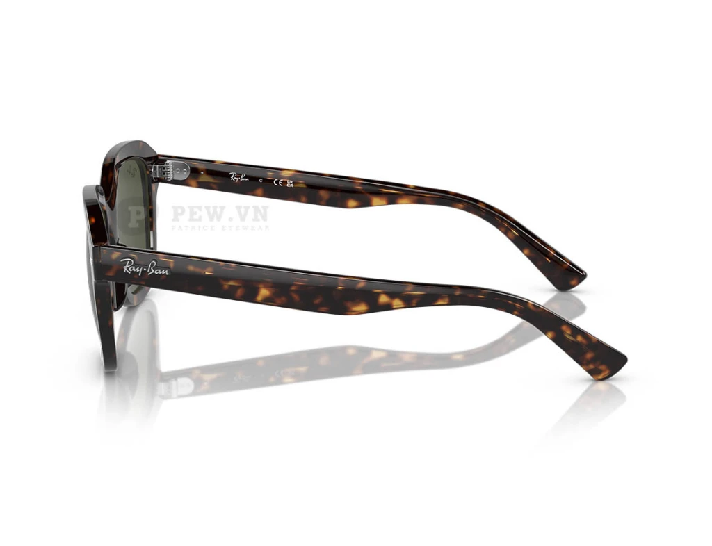 Ray-Ban Erik RB4398F-902/31(53)
