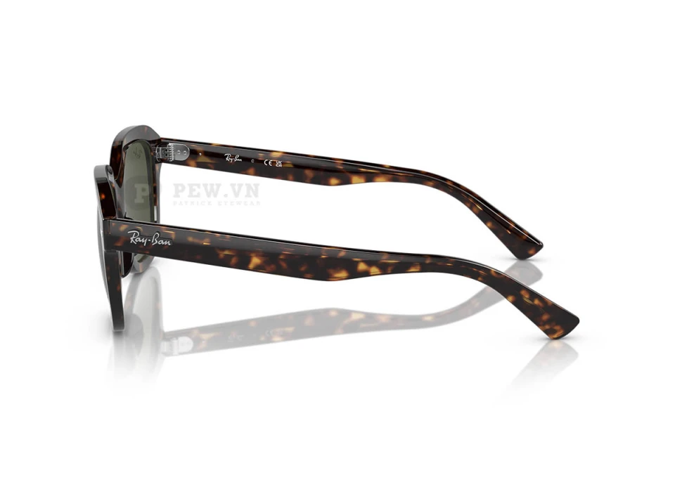 Ray-Ban Erik RB4398F-902/31(53)
