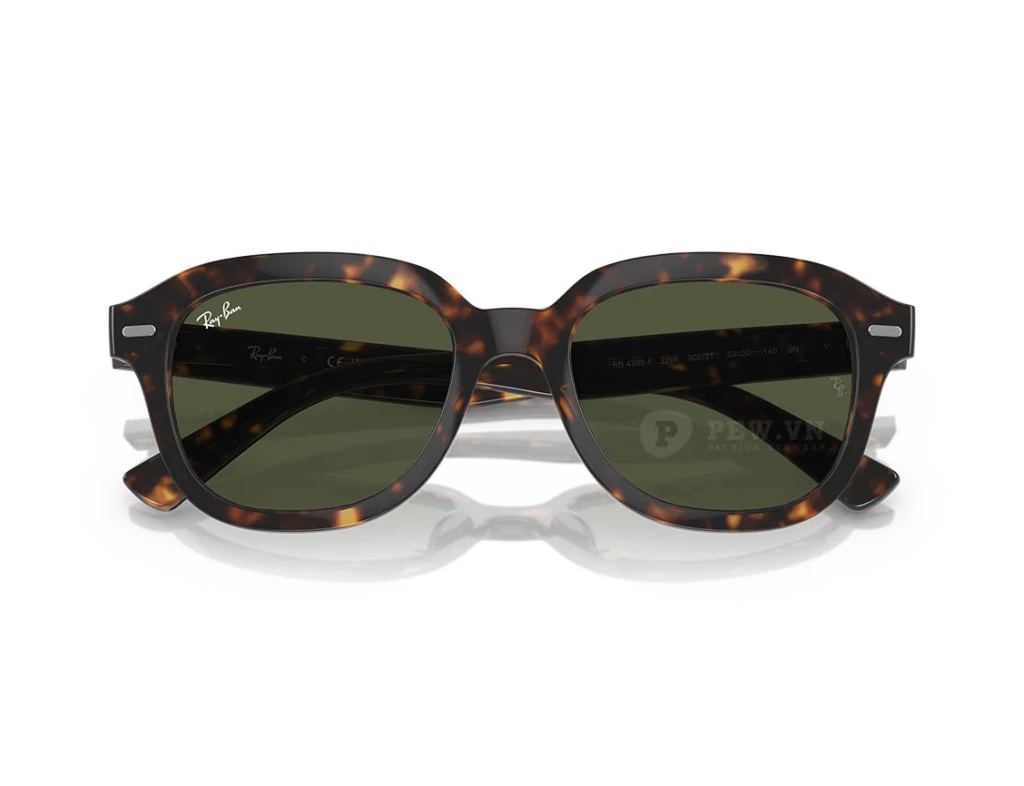 Ray-Ban Erik RB4398F-902/31(53)